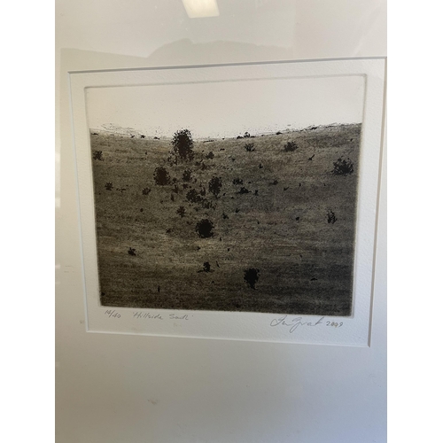 48 - Ian Grant (1947-) Australia, Hillside South, etching, 14/40 signed dated 2009