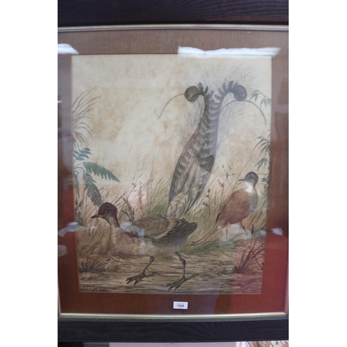 1008 - Neville Henry Peniston Cayley (Australian, 1853-1903), Lyre bird, hand coloured lithograph, approx 6... 