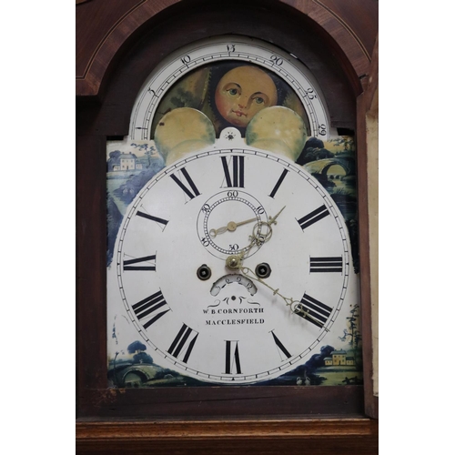1035 - Antique 19th century oak longcase clock, the arch top painted dial signed 'W.B. Cornforth Macclesfie... 