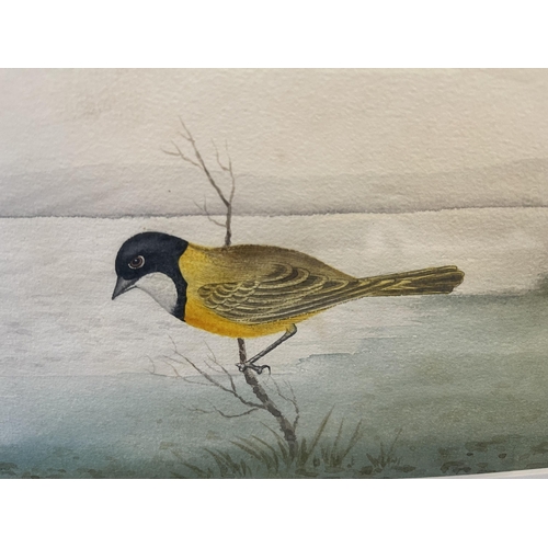 68 - Herbert Hepburn Calvert (1870-1923) Australia, bird on a branch River landscape, watercolour, signed... 
