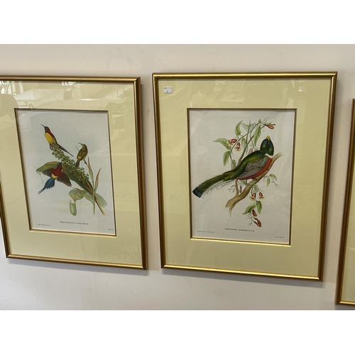71 - Two decorative coloured reprints after Gould & H C Ritcher. Nectarinia Gouldle (Mrs Goulds Sun Bird)... 