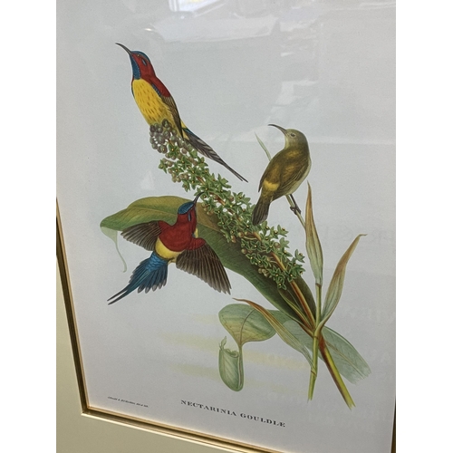 71 - Two decorative coloured reprints after Gould & H C Ritcher. Nectarinia Gouldle (Mrs Goulds Sun Bird)... 