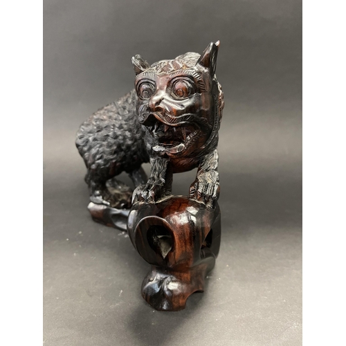 239 - Chinese carved hard wood (likely Zitan or blackwood ) figure of a mythical lion, approx 20cm x 22cm