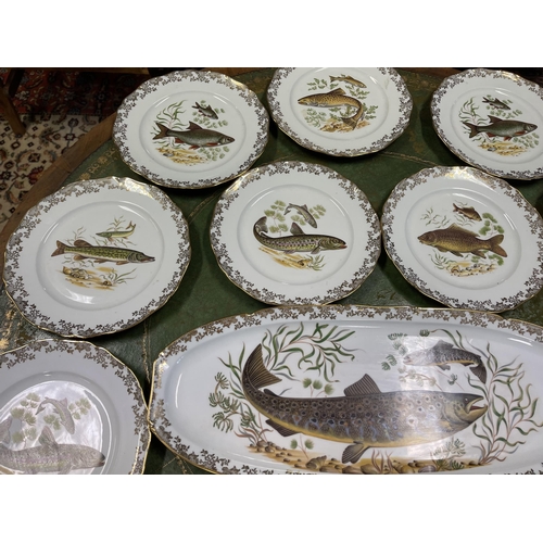 102 - French Porcelain fish service, 12 plates and large serving platter, and sauce boat, approx 54.5 cm  ... 