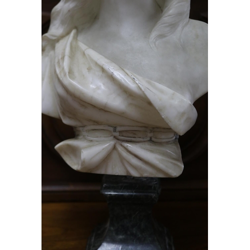 1036 - Adolfo Cipriani (1800-1930) carved alabaster bust of a young lady, signed to back, approx 43.5cm H