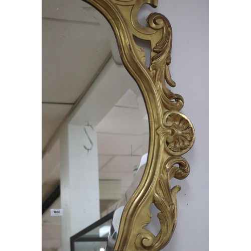 1141 - Antique 19th century French true gilt wood mirror, pierced C scroll & leaf surround, approx 151cm H ... 