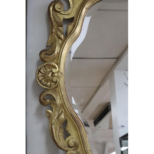 1141 - Antique 19th century French true gilt wood mirror, pierced C scroll & leaf surround, approx 151cm H ... 