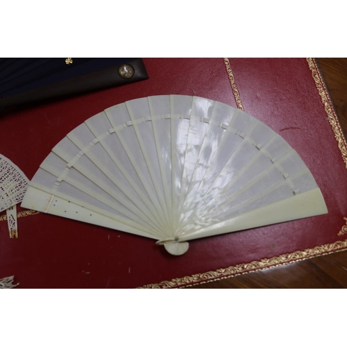 303 - Novelty fan set with a four leaf clover, a tortoiseshell fan, an ivorine fan and an ivory fan with s... 