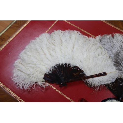 305 - Three fans including two with ostrich feathers & another with exotic bird feathers (3)