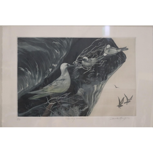 5129 - Pamela Griffith, Nesting Noddies, signed lower right, approx 59cm H x 78cm W (frame size)