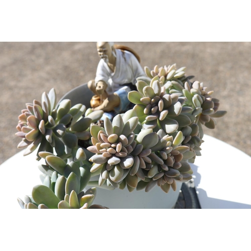 833 - Pot & succulents with oriental man figure, approx 30cm H x 24cm W