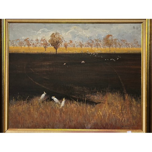 556 - David Edward Armfield (1923-2010) Australia, untitled, cockatoos and ploughed field, oil on canvas b... 