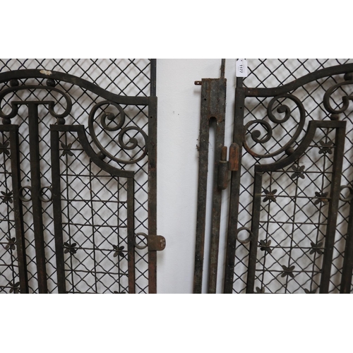 41 - Pair of unique French wrought iron doors, each approx 201cm H x 65cm W