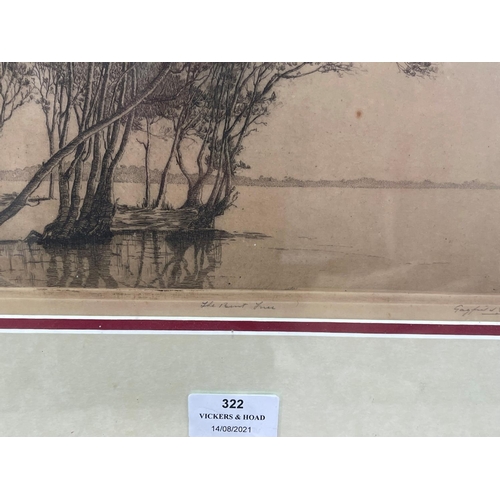 706 - Gerrard Gayfield Shaw (1885-1961) Australia, Etching 50/50 The Bent Tree, signed lower right, approx... 