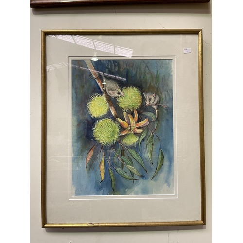 708 - P Geary, water colour, possums and blossums, signed lower right, approx 44 cm x 33 cm