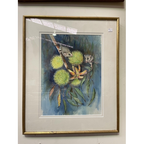 708 - P Geary, water colour, possums and blossums, signed lower right, approx 44 cm x 33 cm