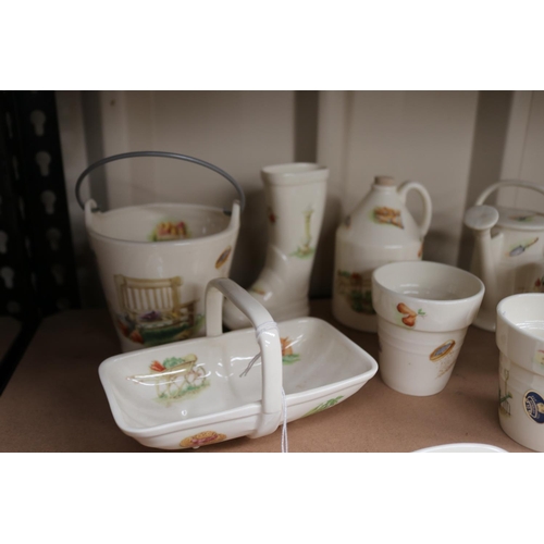 25 - Ansley Edwardian kitchen garden series china