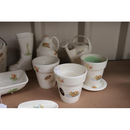 25 - Ansley Edwardian kitchen garden series china