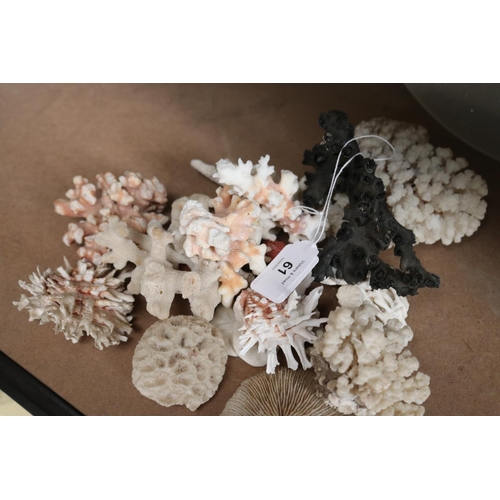 61 - Selection of Coral etc