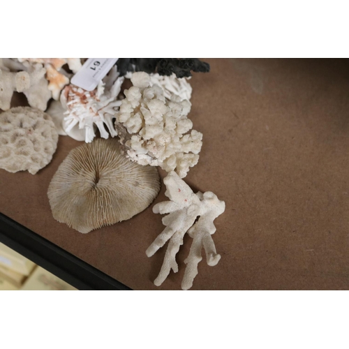 61 - Selection of Coral etc