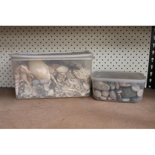 80 - Container of seashells and stones