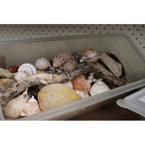 80 - Container of seashells and stones