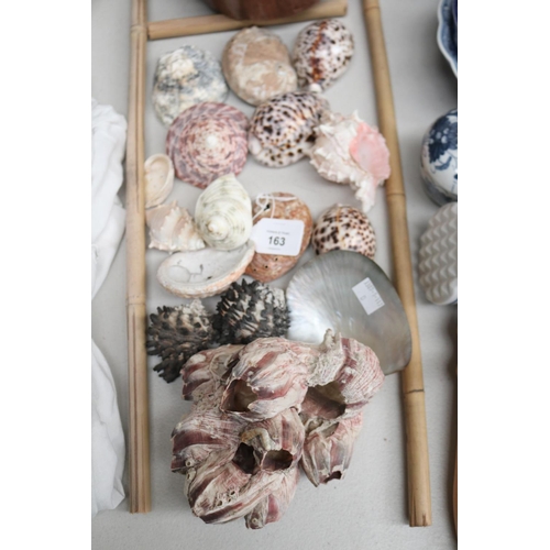 163 - Assortment of sea shell and barnacles