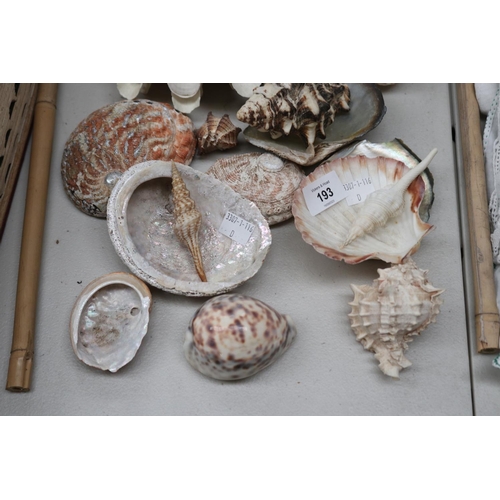 193 - Assortment of seashells