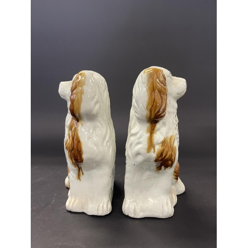 116 - Pair of Staffordshire style dogs with tan highlights, approx 23cm H (2)