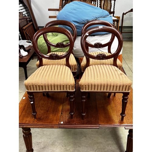 416 - Four antique balloon back chairs (4)