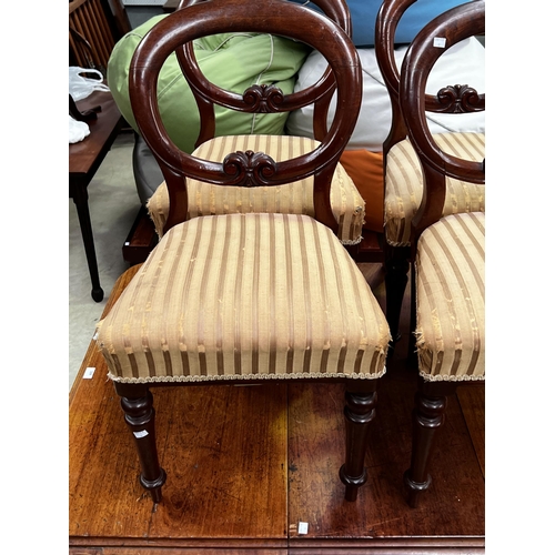 416 - Four antique balloon back chairs (4)