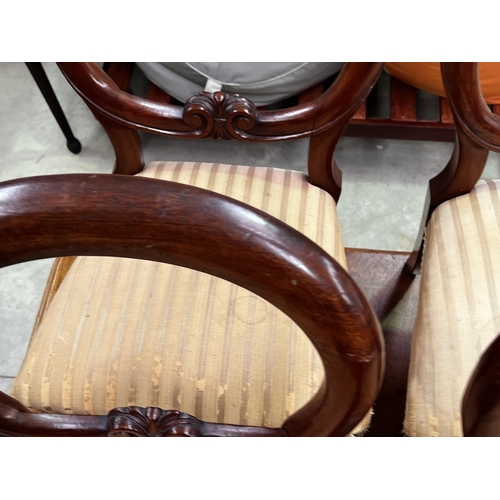 416 - Four antique balloon back chairs (4)