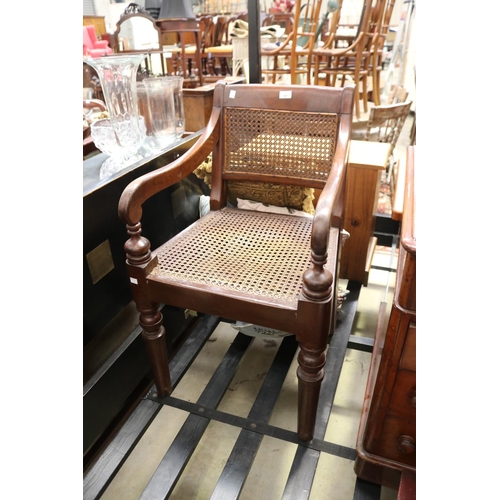 559 - Antique early 19th century Australian cedar caned seat and back armchair