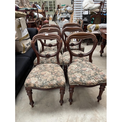 686 - Set of six antique Victorian mahogany balloon back dining chairs