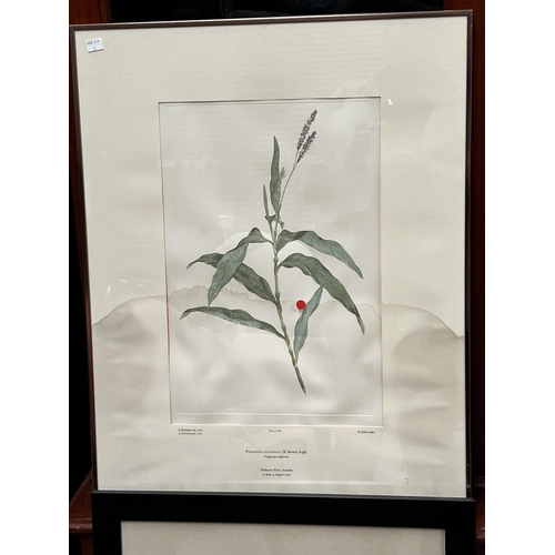 723 - Four botanical prints, approx 47cm x 32cm and smaller (4)