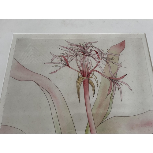 724 - Lindy Cuppard, handcoloured etching, Crimson Queen ?, 6/25, signed lower right, approx 51cm x 41cm