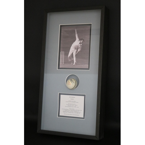 1403 - Signed cricket ball framed, Jeff Thomson. Approx 78cm x 40cm. Provenance: Ken Rosewall Collection