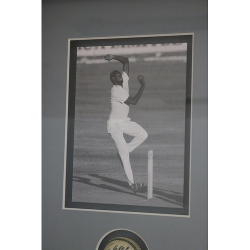 1404 - Signed Cricket ball framed, Courtenay Walsh. Approx 74cm x 46cm. Provenance: Ken Rosewall Collection