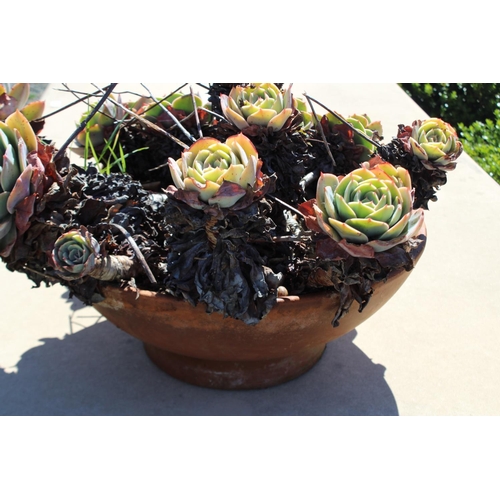8 - Circular terracotta dish garden pot with succulents, dish approx 40cm Dia