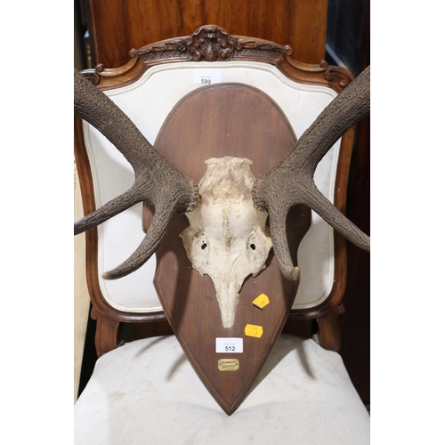 512 - Antique French deer antlers with skull section, mounted on a oak back board, antler approx 68cm H x ... 