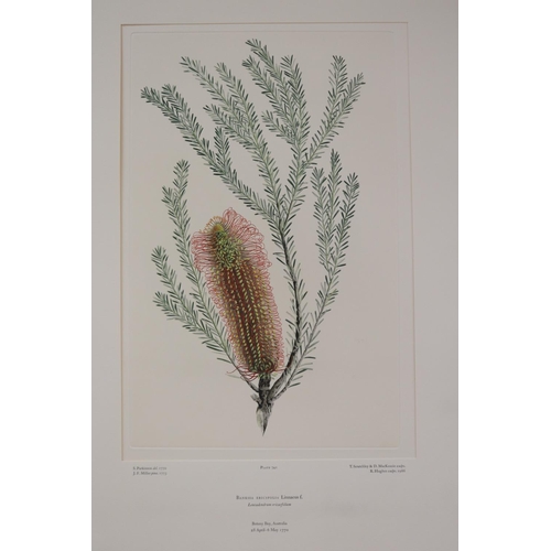 32 - Important collection of Banks' Florilegium - Number 56/100. Florilegium was published between 1980 a... 