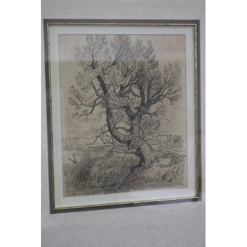 230 - John Sell Cotman (1782-1842) England, Tree Study, pencil drawing, signed lower left, approx 29.5 cm ... 