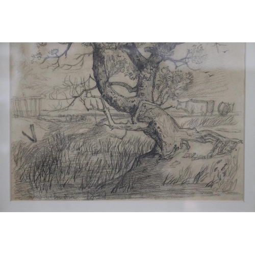 230 - John Sell Cotman (1782-1842) England, Tree Study, pencil drawing, signed lower left, approx 29.5 cm ... 