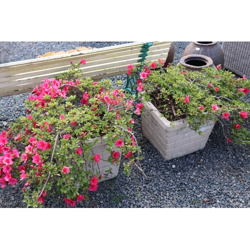 172 - Pair of vintage brick pattern square pots with advanced azaleas, pots only approx 45cm sq x 41cm H (... 