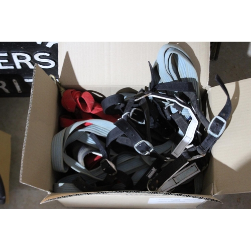 244 - Box of assorted harnesses and leads