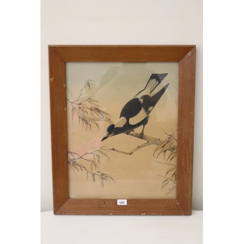 1065 - Tom Flower Australia, Magpie, watercolour, on paper, signed lower right, approx 55 cm x 44 cm