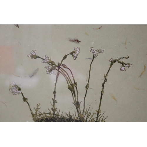 1066 - Max John Miller (1940-2023) Australia, Wildflowers from Charlottes Pass, etching in colours, signed,... 