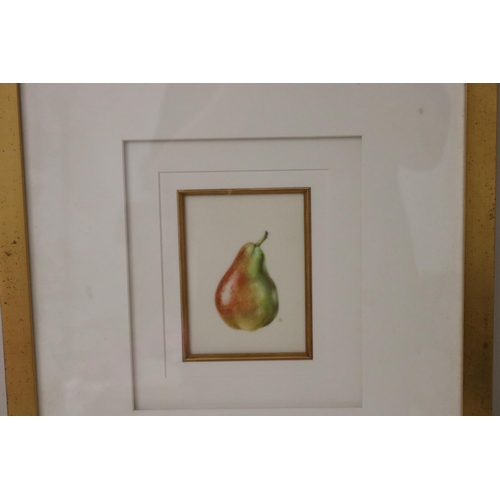 1074 - Deirdre Bean, Pear on Parchment, initialled lower right, approx 14.5 cm 11 cm