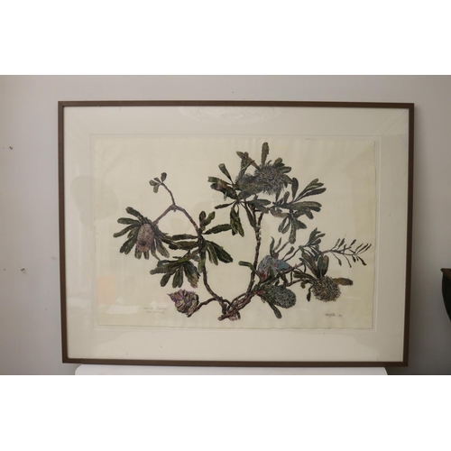 1086 - Max John Miller (1940-2023) Australia, Banksia Serrata, signed lower right, dated 1987, approx 62 cm... 