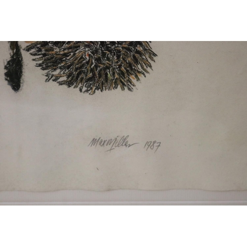 1086 - Max John Miller (1940-2023) Australia, Banksia Serrata, signed lower right, dated 1987, approx 62 cm... 